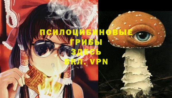 ALPHA PVP Новодвинск