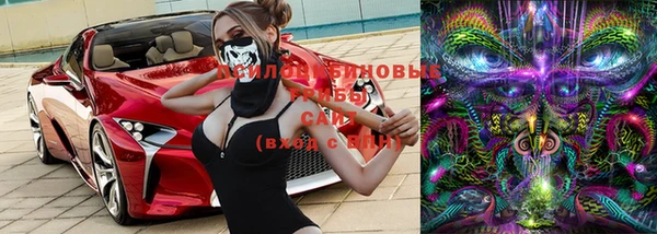 ALPHA PVP Новодвинск