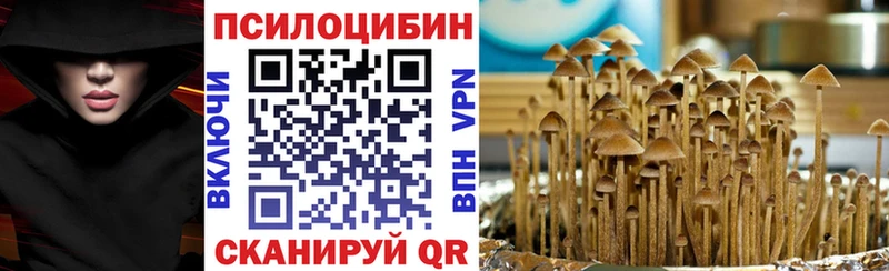 магазин продажи   omg онион  Галлюциногенные грибы прущие грибы  Отрадное 