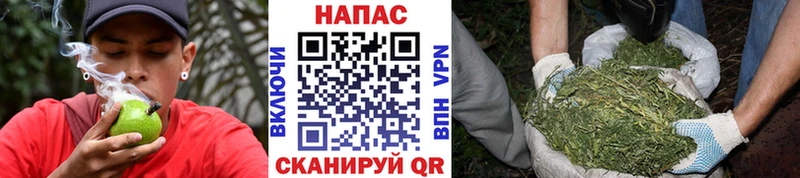 Бошки марихуана планчик  Отрадное 